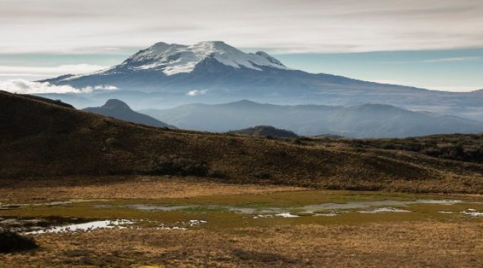 Scholarships for Master’s degrees in Tropical Ecology and Conservation