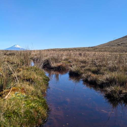 “Latin American Congress of Ecology and Conservation of High Andean Ecosystems”