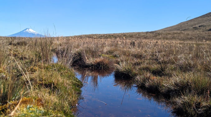 “Latin American Congress of Ecology and Conservation of High Andean Ecosystems”