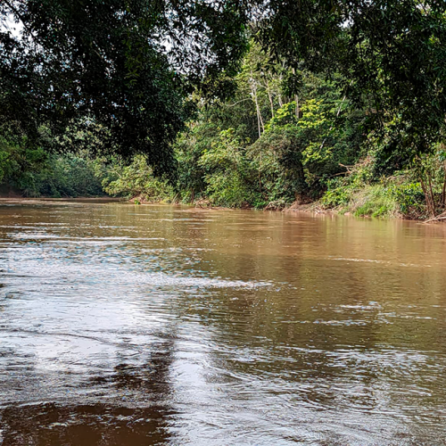 Postdoctoral Researcher in Freshwater Ecology and Conservation