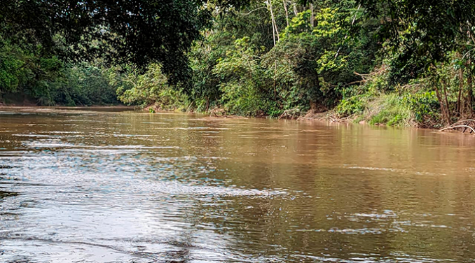 Postdoctoral Researcher in Freshwater Ecology and Conservation